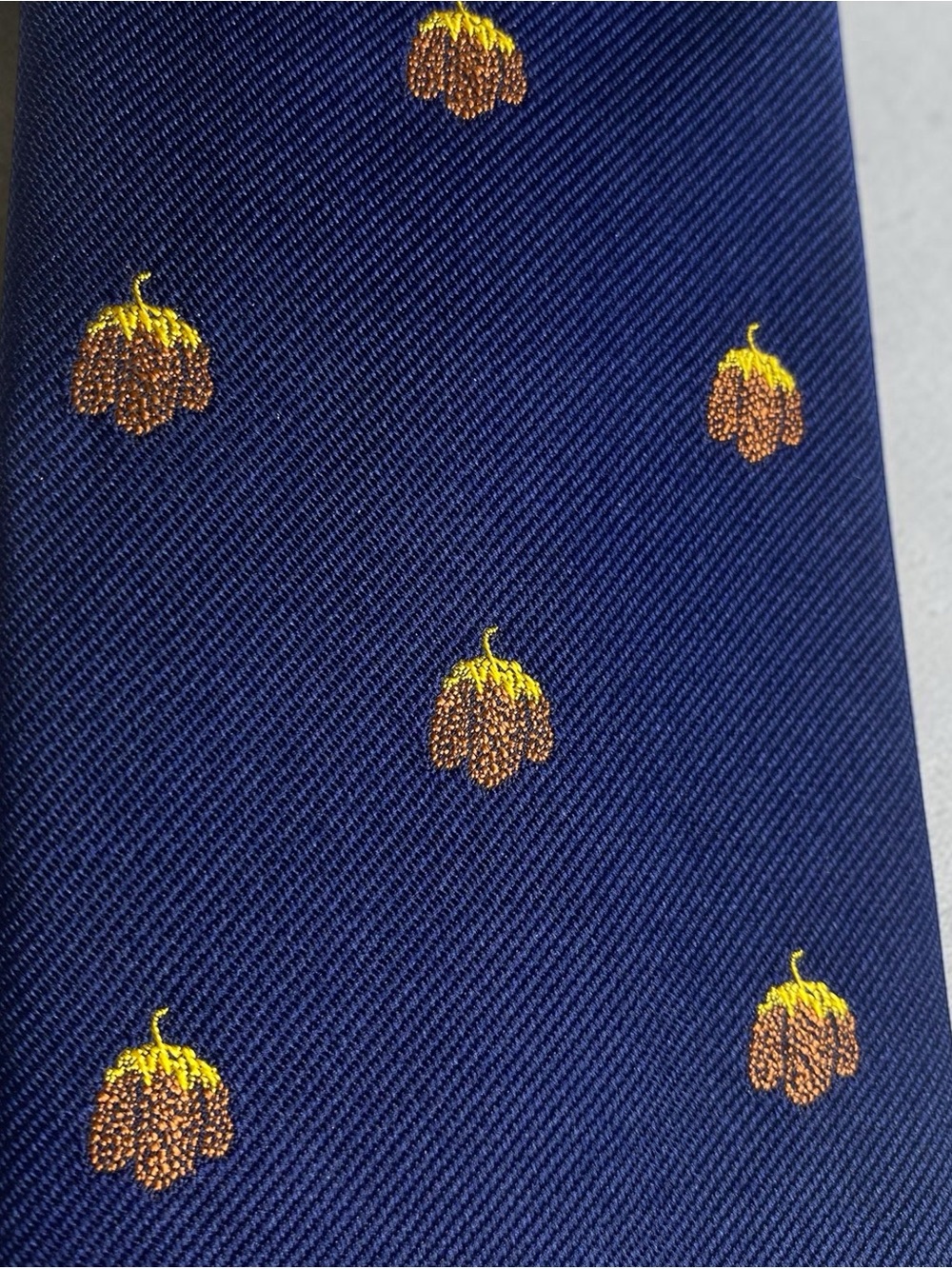 Navy Blue Embroidered Pumpkin Motif Men's Tie